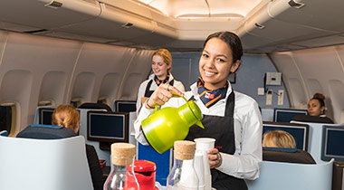 Steward / Stewardess on the Job