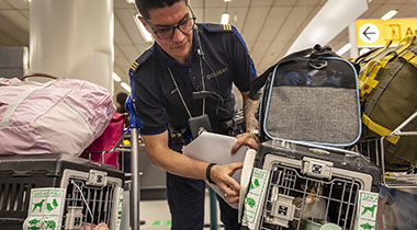 Handhaver Toezicht & Veiligheid Luchthaven